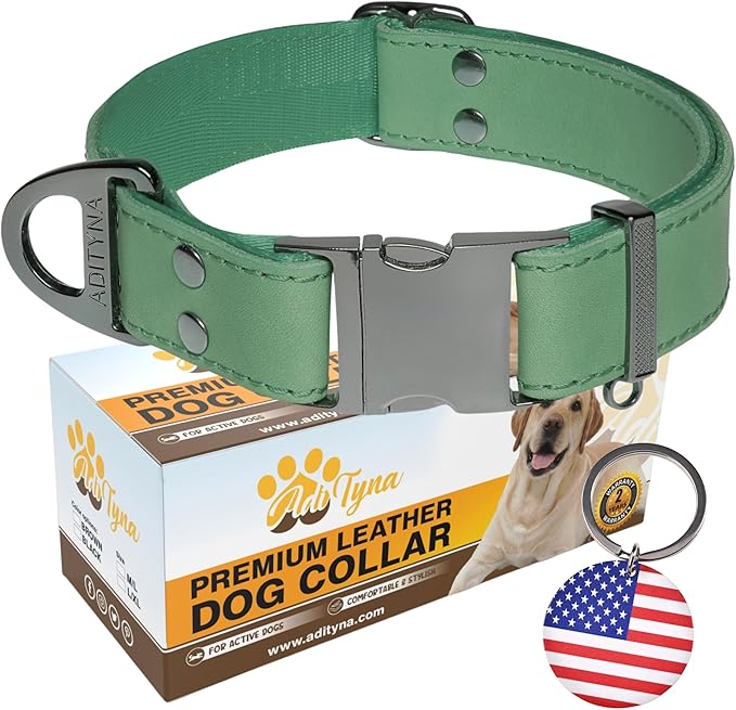 ADITYNA Leather Dog Collar with Metal Buckle - Heavy-Duty, Adjustable for Large & Extra Large Dogs - Walking & Training (Green, Fits 19-30" Necks)