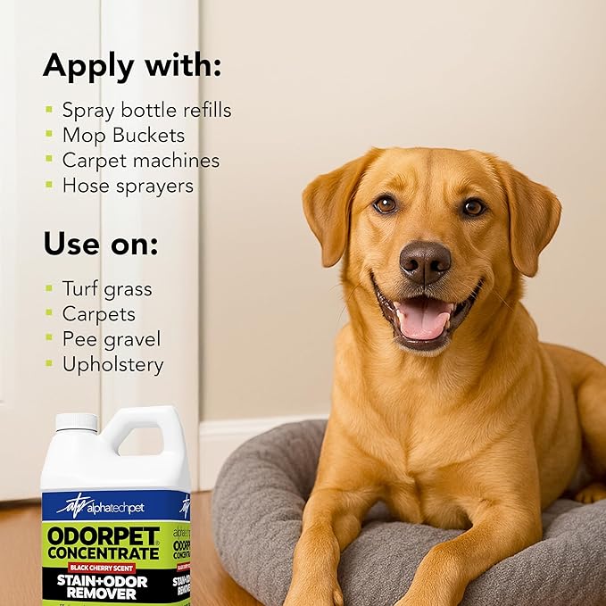 OdorPet Pet Stain Remover and Odor Eliminator - 64 Oz (Makes 2.55 Gallons of Working Solution) Non Staining, Professional Strength, Black Cherry Scent by Alpha Tech Pet