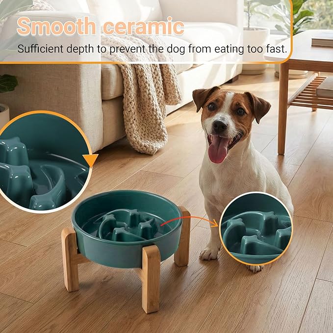 Ceramic Slow Feeder/Dog Bowl for Small Medium Dogs,Elevated/Raised Slow Feeding Dog Food Water Dish Heavy Weighted,Puzzle Eating Bowl Modern Maze (Stars Mark-Forest Green, 8.26n)