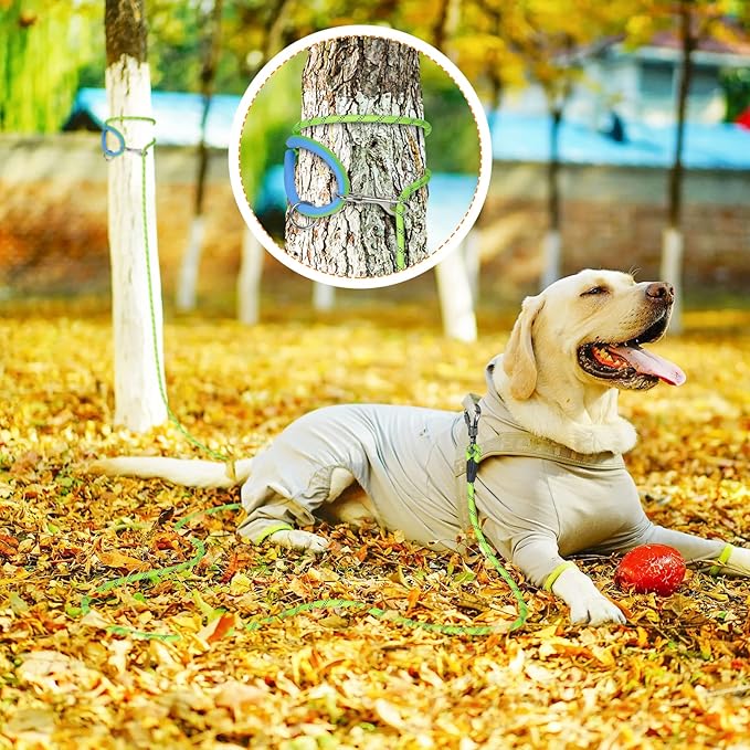 Long Dog Leash for Dog Training 10FT/15FT/20FT/30FT/40FT/50FT/100FT Reflective Leash with 2 Hooks, Heavy Duty Dog Lead for Large Medium Small Dogs Outside Walking Camping Yard, Green 30FT