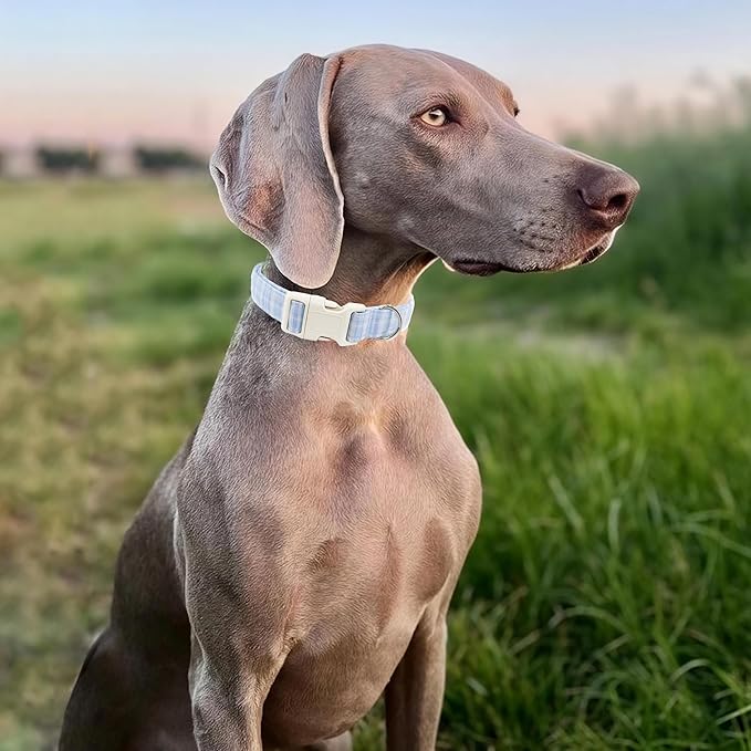 Blue Plaid Dog Collar for Large Dogs, Cute Adjustable Boy Girl Female Pet Collars Summer Puppy Collar with Quick Release Buckle for Small Medium Dogs, Blue Plaid-L