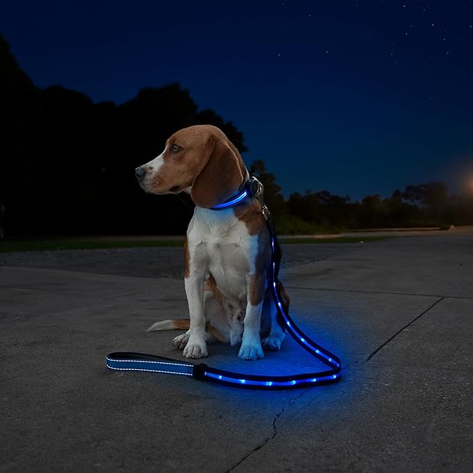 Sherry Kline LED Light-Up Pet Collar - USB Rechargeable - Flashing Glow in The Dark Size Large, Color: Blue