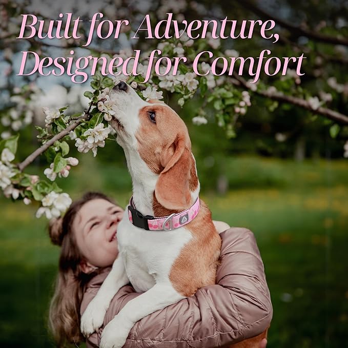 Girl Dog Collar, Durable Pink Cute Cherry Print Adjustable Collar with Aluminum D-Ring, Reflective Logo & Soft Padding Fits for Large Breed Dogs, Neck Size 16’’-25’’ (Cherry, L)