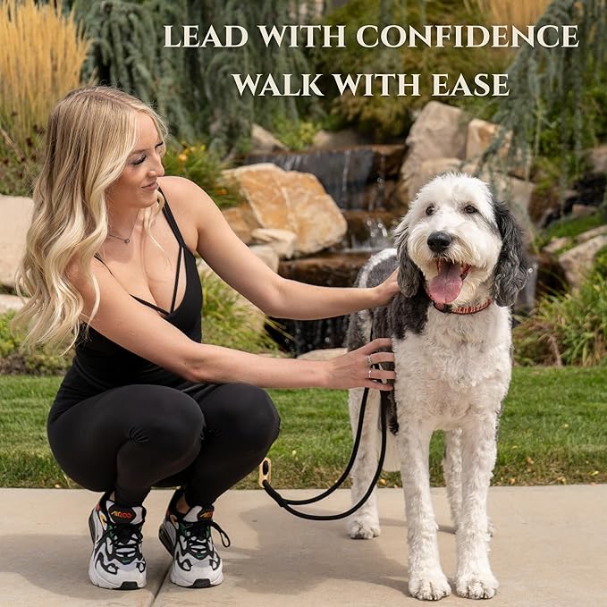 Hands-Free No-Pull Dog Leash | Durable Adjustable Training Lead for Dogs | Calm Command Outdoor Activity Leash for Active Pet Lifestyle Breeds | Ergonomic Handle - Small (25 lbs and Under)
