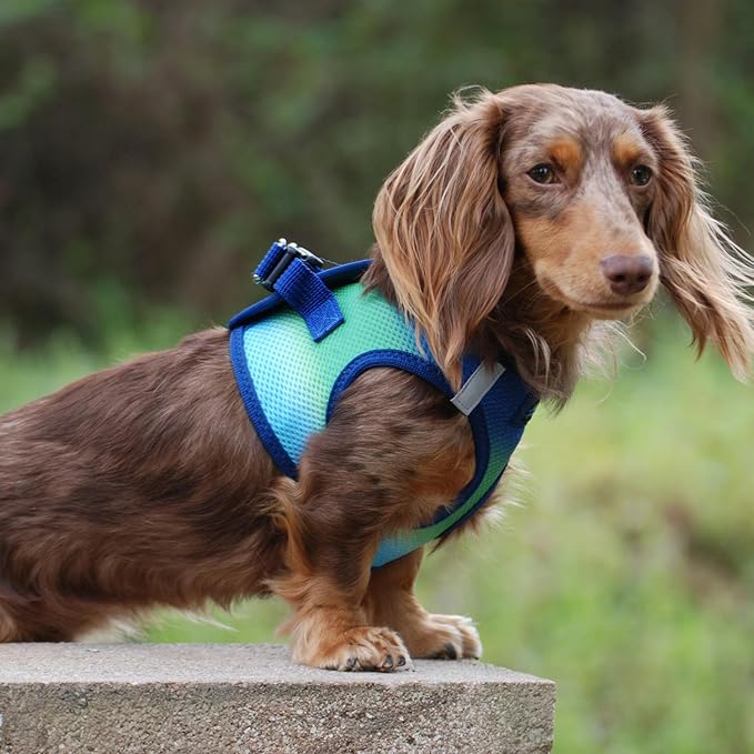 Doggie Design No Choke Dog Harness - Simple Step-in and Go Dog Vest for Small, Medium, and Large Breeds - Breathable Mesh Polyester Pet Harness - Northern Lights - XXS