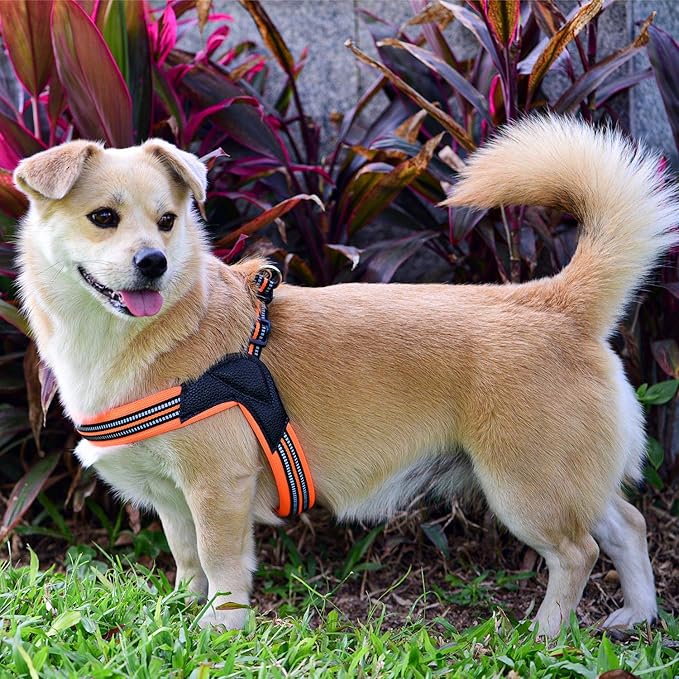 Dog Harness No Pull Ultra Soft Breathable Padded Pet Harness 2 Adjustable Botton, 3M Reflective Pet Harness for Dogs Easy Control for Small Medium Large Dogs (S, Bright Orange)