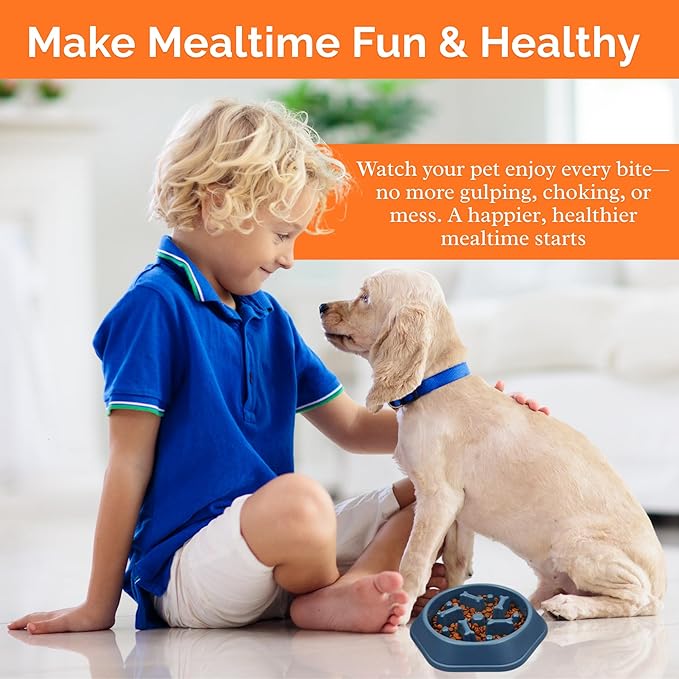 Slow Feeder Dog Food Bowl – Bowl Designed to Slow Eating, Promotes Healthy Digestion and Prevents Bloat, Ideal for Cats and Dogs (Red)