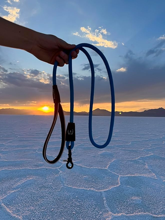 ShawnCo Basecamp Rope Dog Leash- Premium, Durable Pet Leash with Soft Neoprene Padded, Reflective Handle for Small, Medium and Large Dogs (Pacific Blue, 6 Feet)