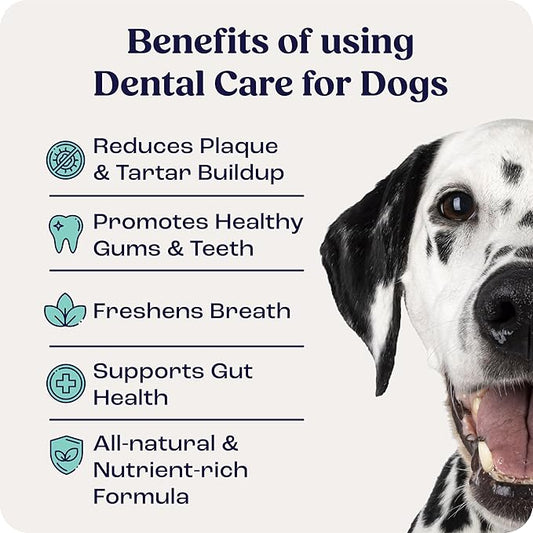 Summit Dental Care for Dogs – All‑Natural No‑Brush Dental Powder for Fresh Breath & Healthy Gums – Easy Add‑to‑Food Supplement – 60 Scoops