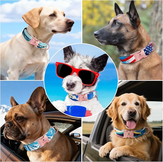 Dog Collar for Medium Dogs, Rocky Mountains Pattern, Heavyweight Polyester Adjustable Puppy Collar with Secure Metal Buckle,Suitable for Female Dogs M