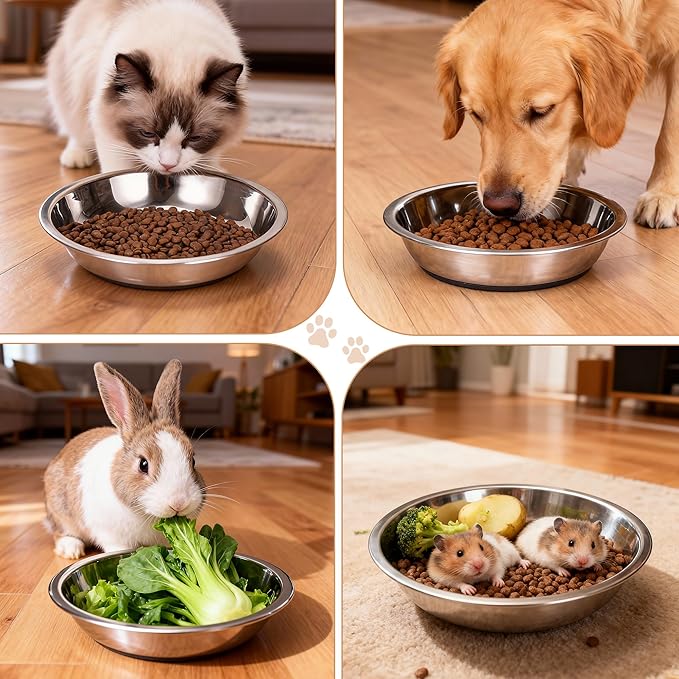 TranRantic 2 Pcs Stainless Steel Cat Bowls, Cats Food Bowls Whisker Friendly, 7 Inch/18cm Non-Slip Pet Bowl Cat Dish Feeding Bowls for Puppy, Small Dogs, Rabbits