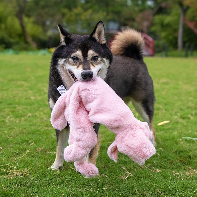 Best Pet Supplies Squeaky Dog Toys with Soft Durable Fabric for Small, Medium and Large Pets Interactive Toy for Indoor Play, Supports Active Biting and Play - Pig, Medium