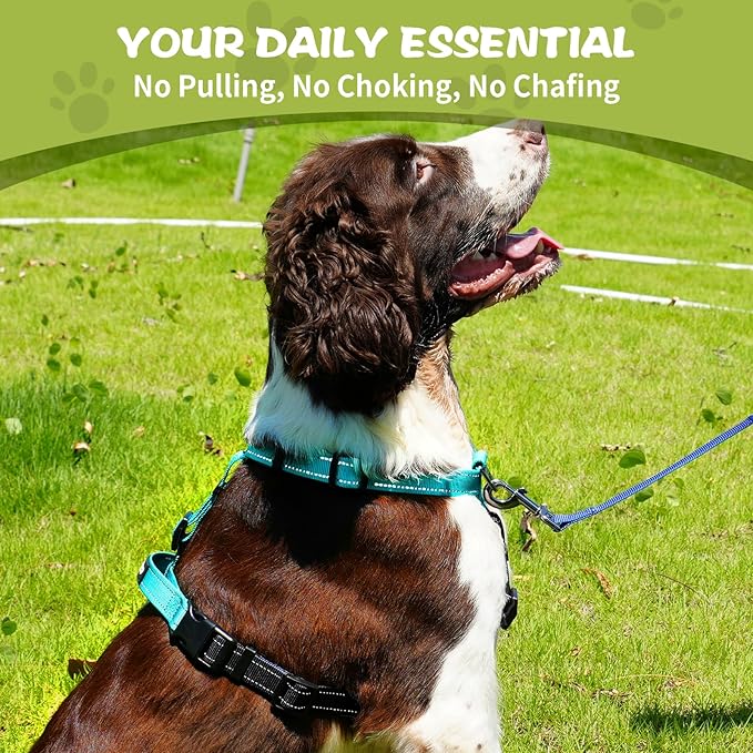 Dog Harness,Adjustable No Pull Dog Harness,Y-Shaped Design,Buckle-Neck Balance Harness with Reflective, Ideal for Dog Training Hiking, Easy Walk Harness,Durable High-Tensile Nylon Aqua Green-S