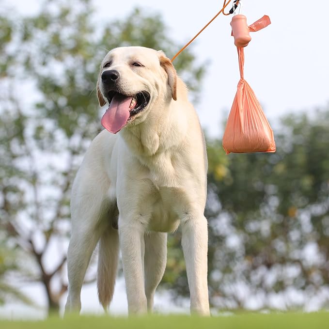 Dog Poop Bags with Handles 60 Rolls 720 Counts Big Sizes Leak Proof and Extra Thick Waste Bags Refill Rolls for Walking Small Medium Large Dogs Cats Litter With 2 Dispensers Peach Scented