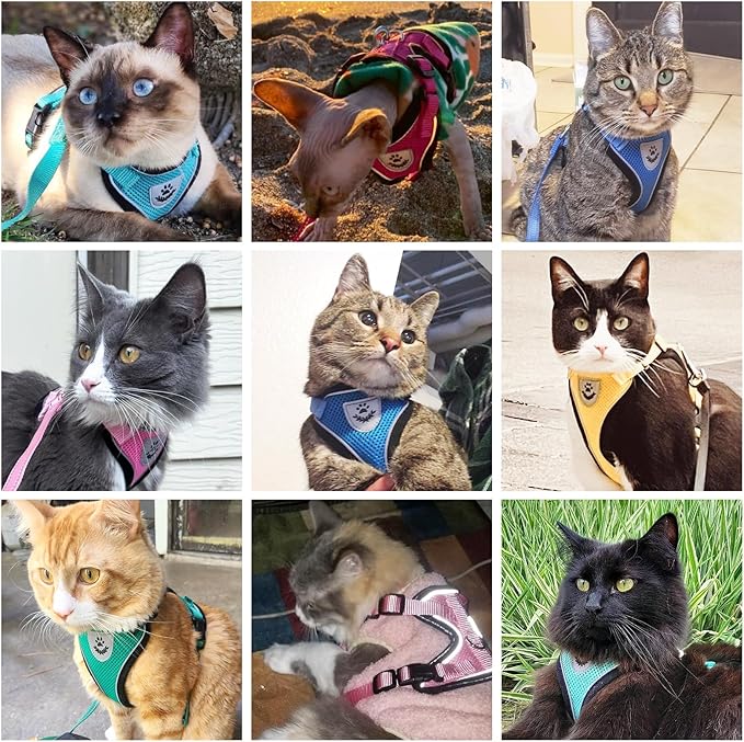 PUPTECK Cat Harness and Leash Set Escape Proof Reflective Cat Walking Harness Adjustable Soft Breathable Mesh Vest for Small Pets, Pink Flowers, S