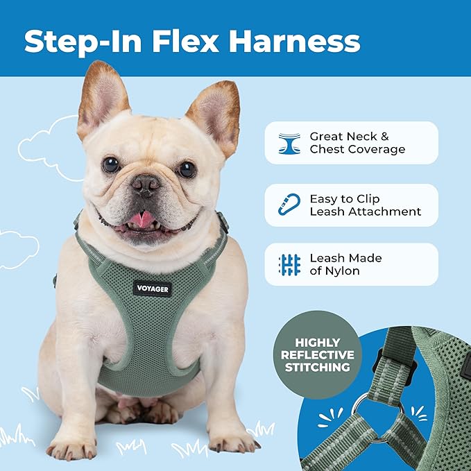Best Pet Supplies Voyager Mesh Dog Breathable Harness Reflective Stitching, All Weather Adjustable for Walking Training, or Running - Heavy Duty & Durable, Moss Green, XL