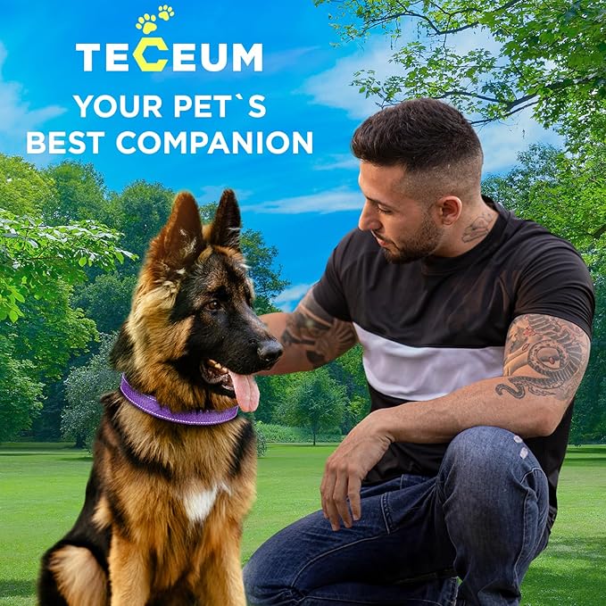 TECEUM Reflective Dog Collar β Purple β XL β Basic Nylon Pet Collar β Quick Release Buckle β Fits Small, Medium and Large Dogs, Puppies, Cats β ESA & Service Dog Options