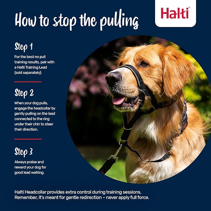 Halti Headcollar - Stop Your Dog Pulling on the Leash. Adjustable, Reflective and Lightweight, with Padded Nose Band. Dog Training Anti-Pull Collar for Large Dogs (Size 5, Black)
