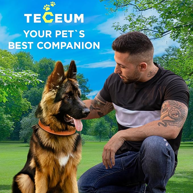 TECEUM Reflective Dog Collar β Orange β L β Extra Soft Padding β Basic Nylon Pet Collar β Quick Release Buckle β Fits Small, Medium and Large Dogs, Puppies, Cats β ESA & Service Dog Options
