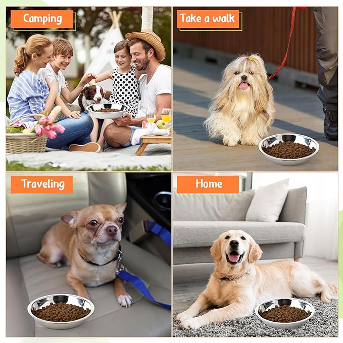 Patelai 8 Pcs Stainless Steel Dog Bowls with Silicone Lids Portable Food and Water Dishes for Pets Sealable Containers for Small Medium Dog Cat Indoor, 6.3 Inch (Red,Blue,Green,Purple)