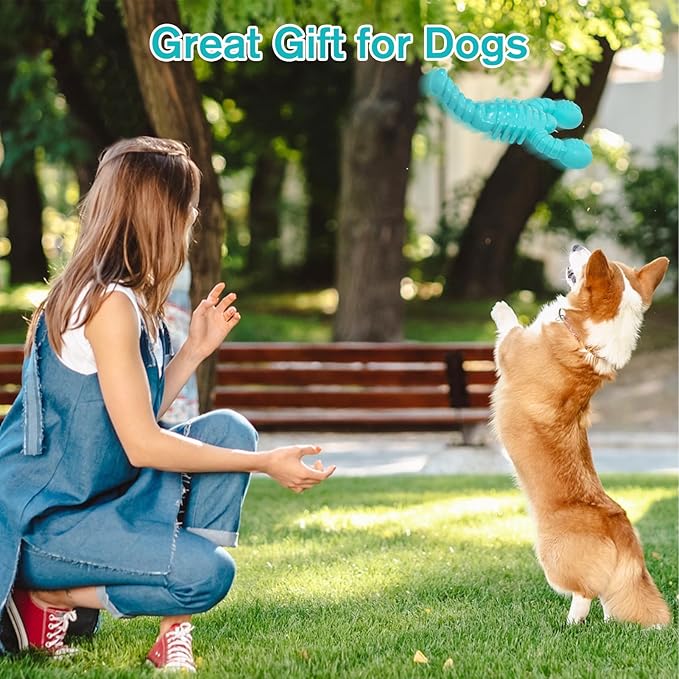 Dog Toys for Aggressive Chewers 2 Pack, Indestructible Tough Dog Chew Toys for Medium Large Breeds, Bacon Flavor to Keep Them Busy