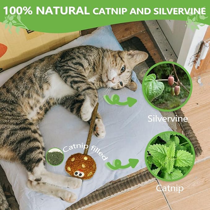 ALTABOMBA Silvervine Sticks for Cats, Lollipops Catnip Toys & Cat Chew Toy for Teeth Cleaning, Cat Toys for Indoor Cats (5-Pcs)
