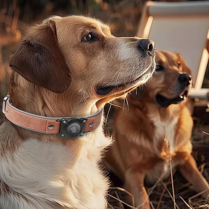 AirTag Dog Collar - Leather Dog Collar with Air Tag Holder | IPX8 Waterproof, Reflective, High - End, Adjustable Soft Padded | Dog GPS Tracker Collars Fit for Medium Large Dogs (MahoganyBrown, L)