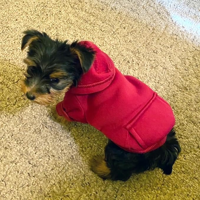 Jecikelon Winter Dog Hoodie Sweatshirts with Pockets Warm Dog Clothes for Small Dogs Chihuahua Coat Clothing Puppy Cat Custume (Wine red, Medium)
