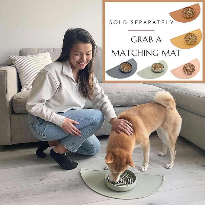 Should We Go? Slow Feeder for Dogs, The Slowdown Bowl Silicone Slow Eating Mealtime Solution with Modern Lick Mat Design, Reduces Gulping, Fits 1 Cup, 6” Across x 1.25” Tall, Small-Tan