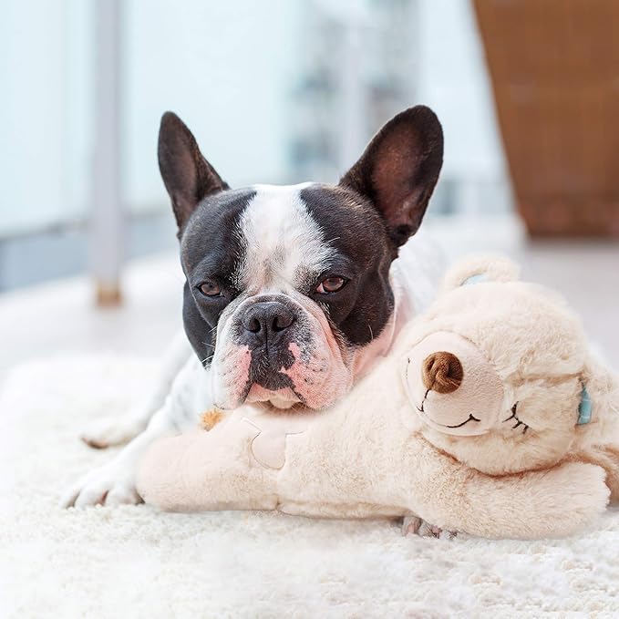 PetPrime Dog Plush Toy Heart Beat Puppy Plush Bear Toy with Warmer Bag Pet Soft Anxiety Puppy Relief Toy for Dogs Heart Beat Stuffed Animal Sleeping Buddy Anxiety Dog Toy
