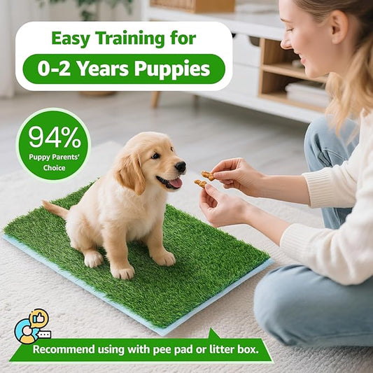 Artificial Pee Grass Pad for Dogs, Fake Grass Replacement Pads for Dog Potty Tray Training Pet Turf, Indoor and Outdoor Mat- 2 Packs (14" x 18")