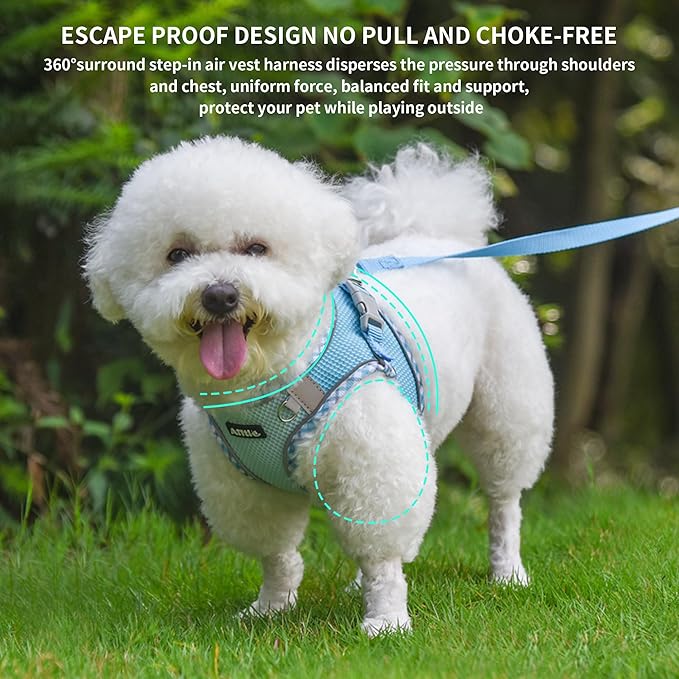 AIITLE Teacup Puppy Harness with Leash - Adjustable Soft Vest with Magic Tape & Reflective Safety Strips, Easy-Put-On for Poodles, Pomeranians - Gym, Hiking, Travel (Blue, S)