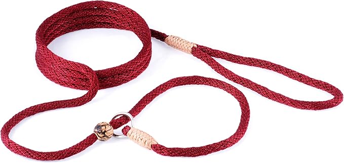 Alvalley Nylon Dog Training Leash with Stopper - Adjustable Nylon Rope Comes with Braided Leather at Ends - Tagua Bead Stopper Slip Lead - Suitable for Walking, and Training