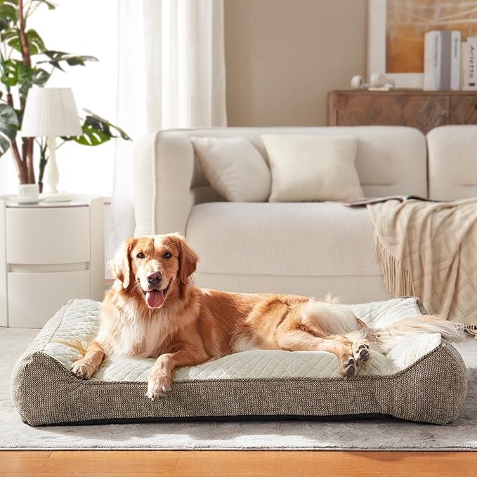 JOEJOY Extra Large Orthopedic Dog Beds Large Sized Dog, Extra Thick Supportive Big Dogs Bed with Sides, Ultra Soft Pet Bed Sofa, Beige, 48''x35''