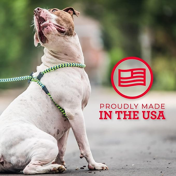 Harness Lead No Pull Dog Harness and Leash Set, Anti Pull Dog Harness, One-Piece Cushioned Rope Safely Prevents Escaping and Pulling *New Insert is Removable (Medium/Large, Reef)