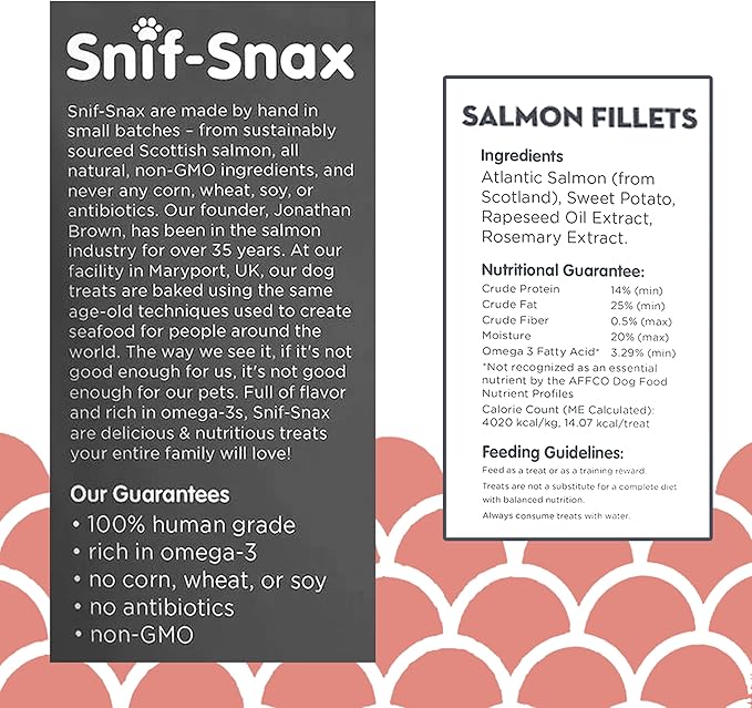 Snif-Snax Salmon Fillets Dog Treats (8oz) – All Natural Human Grade Grain Free Training & Reward – Protein Rich Salmon Sticks for Dogs, Healthy Puppy Treats, Soft Jerky-Style Strips