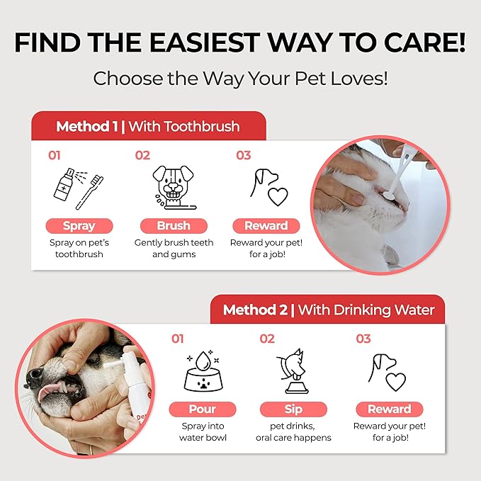 JAYU PET Dental Spray for Dogs & Cats, Tartar Control & Fresh Breath, No Brushing Needed, Protects Teeth & Gums, Easy Daily Oral Care, 1 fl oz
