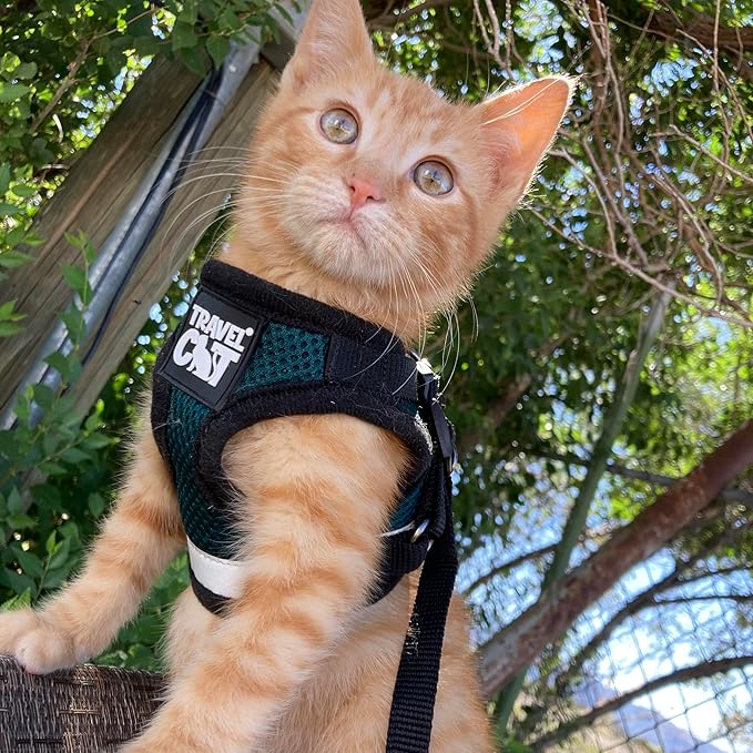 Travel Cat The Emerald Explorer Limited Edition Green Harness and Leash Set - Adjustable Fit Mesh Cat Harness with Reflective Strap - Escape Proof Harness for Cats, Kitten (Emerald, Small)