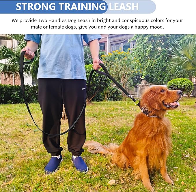 Strong Heavy Duty Dog Leash - 4ft Reflective Nylon Training Leash with Soft Padded Double Handle & Auto Lock Frog Clip - Safety Traffic Control for Large Medium Small Dogs No Pull Walk Black Black,4ft