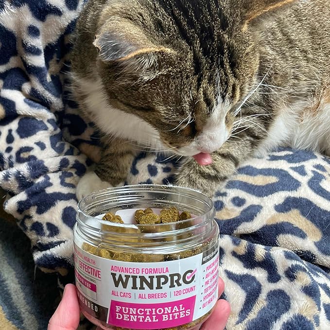 WINPRO Functional Dental Bites for Cats, Plasma-Powered Formula for Supporting Healthy Teeth and Gums, Probiotic Blend, Catnip Flavor, All Cat Breeds, 120 Count
