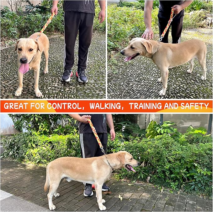 Short Dog Leash 18 Inches, Strong Traffic Leash with Padded Handle, Heavy Duty Dog Leashes with Carabiner Clip for Large and Medium Dogs Control Safety Training (Orange)