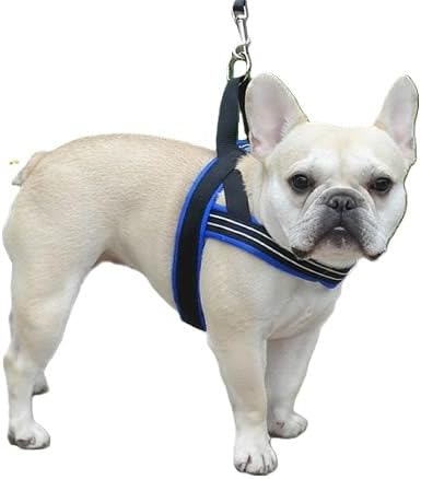 ComfortFlex Sport Dog Harness – No-Choke, Fully Padded, Non-Chafing Harness with Control Handle – Reflective, Lightweight, Adjustable for Active Dogs - Small, Hot Pink