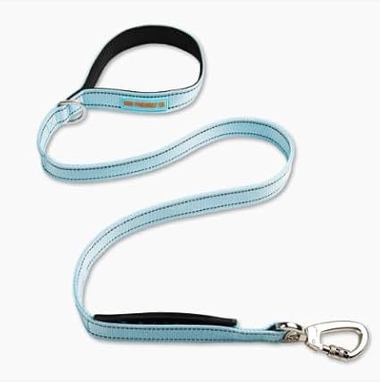 DF Co. Classic Dog Leash | Strain-Free, Shock Resistant, Prevents Jolts, Maintain Control | Durable Waterproof Material with Heavy Duty Clip & D-Ring (Sky Blue, Regular)