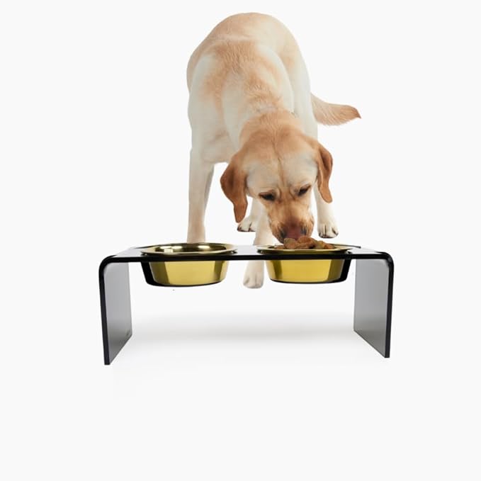 Hiddin Double Elevated Dog Bowl Stand for Small or Medium Dogs, All Breeds, Smoke Grey Acrylic 7 Inch Raised Dog Bowl Stand with Two Gold Bowls for Food and Water - 3.5 Cups Each Dish