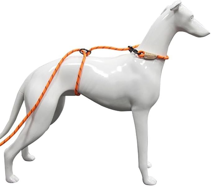 30ft Check Cord to Train Dog, Anti Pulling, Dog Leads for Walking, Double Hook & Escape Proof for All Breeds, Reflective Orange