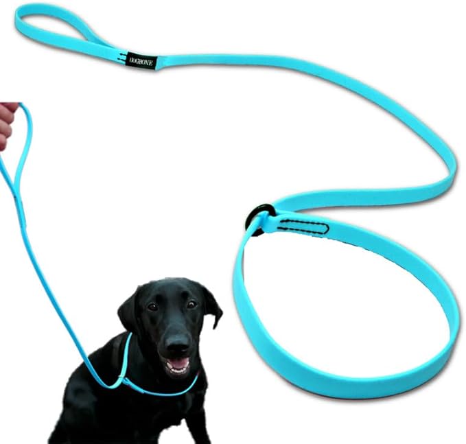 DogBone Slip Lead for Small, Medium, & Large Dogs – No Pull Lasso Style Leash & Collar for Control During Training - Waterproof & Chew Resistant Biothane Alternative - Great Size for Hiking & Travel