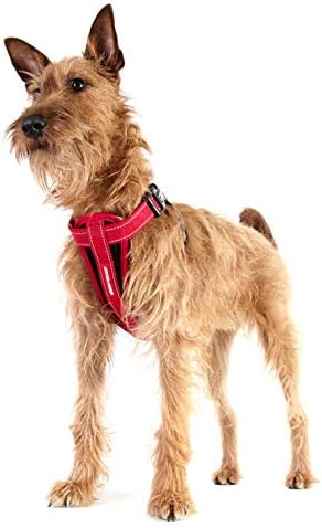 EzyDog Chest Plate No Pull Dog Harness – Escape Proof Harness with Reflective Stitching and Comfort Padding for Easy Walks, Training & Control - Car Restraint Included (Medium, Corduroy)