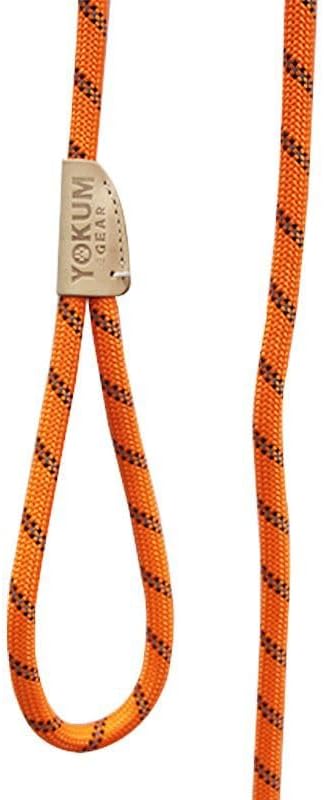 30ft Check Cord to Train Dog, Anti Pulling, Dog Leads for Walking, Double Hook & Escape Proof for All Breeds, Reflective Orange