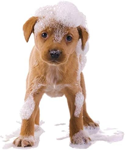 Organic Excellence Mild Dog Shampoo, Great for All Pets: Dogs, Puppies, Cats, Horses, Formulated for Sensitive Skin, Made with Aloe and Nourishing Botanicals - 16oz