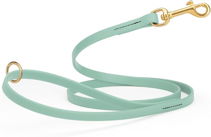 Viper Biothane K9 Working Dog Leash Waterproof Lead for Tracking Training Schutzhund Odor-Proof Long Line with Solid Brass Snap for Puppy Medium and Large Dogs 6ft, Sage Green